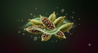 Organic Cardamom Extract